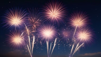 fireworks over the bright city