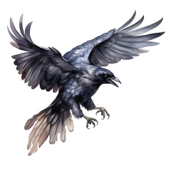 Crow Isolated on a Transparent Background