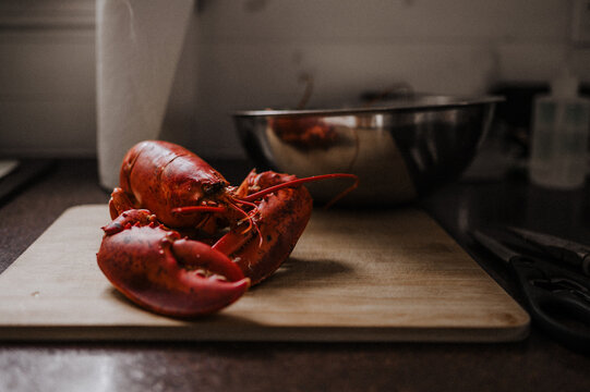 Fresh cooked lobster on a cutting board ready to be shelled