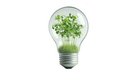 Green Energy Concept with Plants Growing Inside Light Bulb