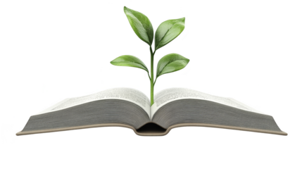 Open Book with Sprout Plant Education Growth Concept