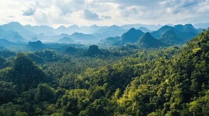 Bird's eye view of the dense forests and karst landscape of Nam Ha National Park in Luang Namtha.