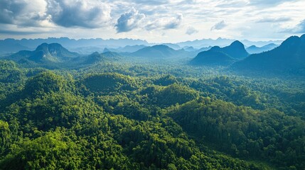 Naklejka premium Bird's eye view of the dense forests and karst landscape of Nam Ha National Park in Luang Namtha.