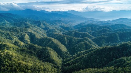 Naklejka premium Bird's eye view of the rugged hills and deep valleys of the Crocker Range in Sabah.