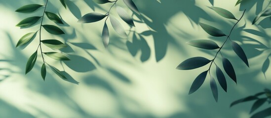 Elegant leaf shadows on a soft green natural backdrop Ideal for showcasing products nature perfumes promotional sales banners presentations or cosmetics 3D render
