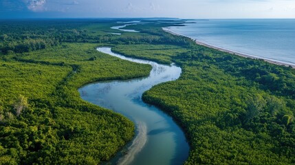 Top view of the expansive mangrove forests along the coast of Preah Sihanouk Province, with meandering rivers and rich biodiversity.