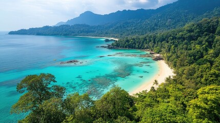 Top view of the sandy beaches and turquoise waters of Tioman Island, surrounded by dense greenery.