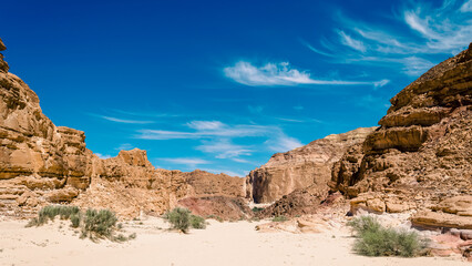 green bushes on the sand in a canyon in the desert against the backdrop of mountains and a blue sky with clouds in Egypt Dahab South Sinai