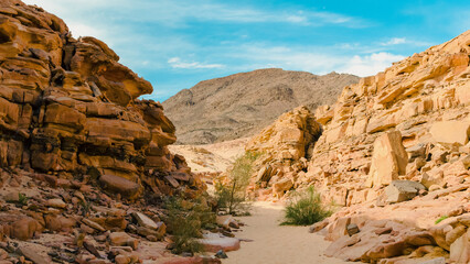 Obraz premium colored canyon with green plants in Egypt Dahab South Sinai