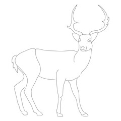 Continuous one line drawing of a Mouse Deer. Vector illustration isolated on white background.