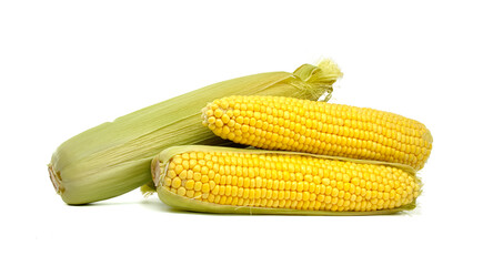 Fresh corn cobs displayed with husks and kernels isolated on white background