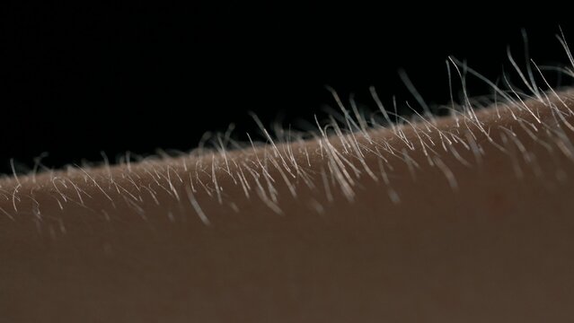 Macro shot of Hair Standing on End Against a Dark Background
