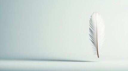 white feather on a minimalist background