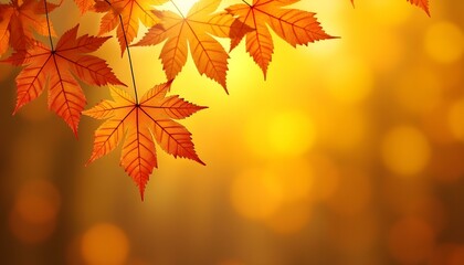 Fototapeta premium Autumn background. Yellow and red autumn leaves. Autumn banner