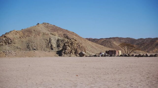 Desert landscape with small Bedouin houses, Egypt