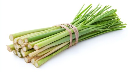 Fototapeta premium a lemongrass stalk with the ends frayed, rustic and natural, bright green, isolated on white background