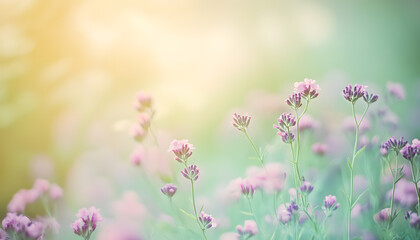 Fototapeta premium A single pastel color, such as mint green or lavender, providing a soothing and simple backdrop