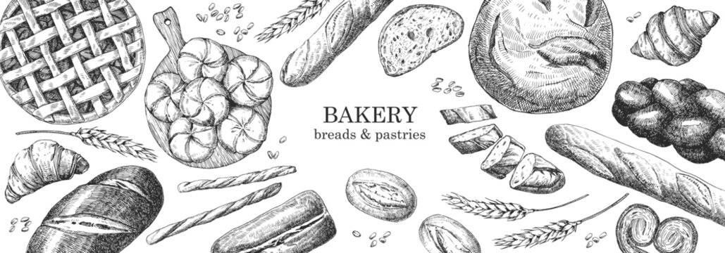 Bakery products. Bakery design template. Hand-drawn illustration of Bred. Ink. Vector	
