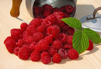 Geerntete Himbeeren in  einer Milchkanne