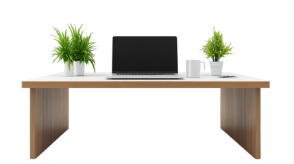 Modern Office Desk with Laptop Plants and White Mug