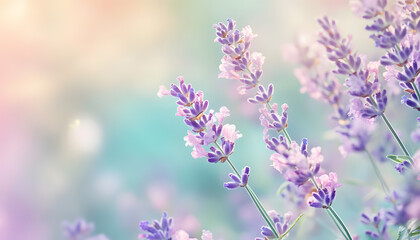 Obraz premium A single pastel color, such as mint green or lavender, providing a soothing and simple backdrop