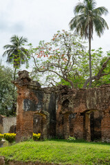Naklejka premium palms tree rising above an abandoned old ruins, weathered brick wall under blue sky with scattered clouds, Puthia Temple Complex, Bangladesh