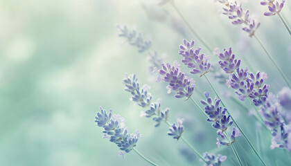 Obraz premium A single pastel color, such as mint green or lavender, providing a soothing and simple backdrop