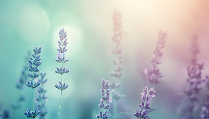 Obraz premium A single pastel color, such as mint green or lavender, providing a soothing and simple backdrop