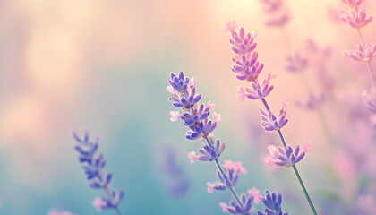 Obraz premium A single pastel color, such as mint green or lavender, providing a soothing and simple backdrop