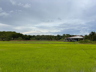Obraz premium landscape with a house in the background