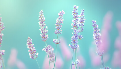 Obraz premium A single pastel color, such as mint green or lavender, providing a soothing and simple backdrop