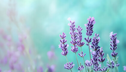 Obraz premium A single pastel color, such as mint green or lavender, providing a soothing and simple backdrop
