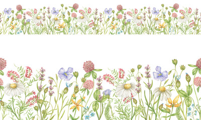 Watercolor seamless border with wildflowers of clover, daisies, flax and others. Seamless pattern for textiles, postcards, stationery, tape, glass wrappers, tableware border