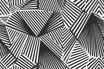 Dynamic Black and White Geometric Pattern with Stripes