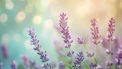 Obraz premium A single pastel color, such as mint green or lavender, providing a soothing and simple backdrop