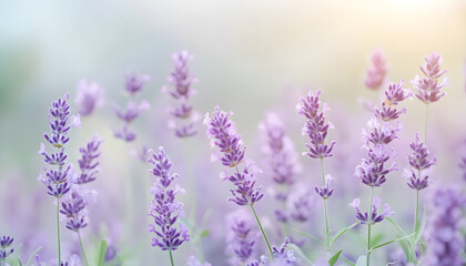 Obraz premium A single pastel color, such as mint green or lavender, providing a soothing and simple backdrop