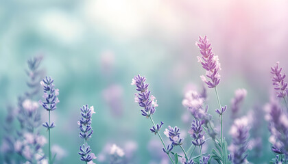 Obraz premium A single pastel color, such as mint green or lavender, providing a soothing and simple backdrop