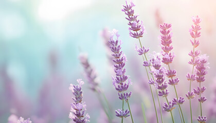 Fototapeta premium A single pastel color, such as mint green or lavender, providing a soothing and simple backdrop