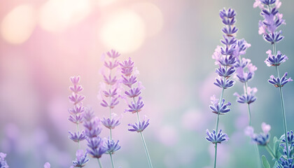 Obraz premium A single pastel color, such as mint green or lavender, providing a soothing and simple backdrop