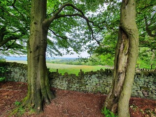 stone walls and trees north wales country views 