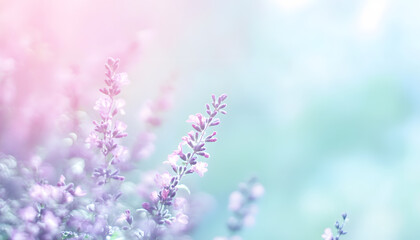 A single pastel color, such as mint green or lavender, providing a soothing and simple backdrop