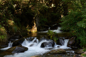 The Toran River in the Val d'Aran. Pyrenees. Catalonia. Spain