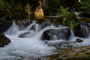 The Toran River in the Val d'Aran. Pyrenees. Catalonia. Spain