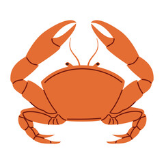 Set of flat vector illustrations in children's style. Crab on white background. Vector illustration