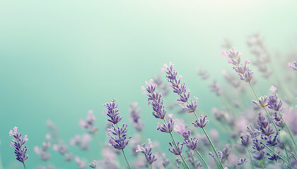 Obraz premium A single pastel color, such as mint green or lavender, providing a soothing and simple backdrop