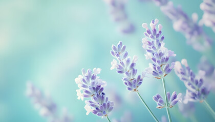Obraz premium A single pastel color, such as mint green or lavender, providing a soothing and simple backdrop