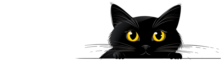 Near view of black cat on white