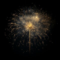 Fototapeta premium Golden Fireworks Display in Night Sky.