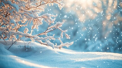Serene winter landscape with snow-covered branches and falling snow. Winter christmas background