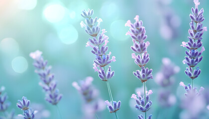 Obraz premium A single pastel color, such as mint green or lavender, providing a soothing and simple backdrop